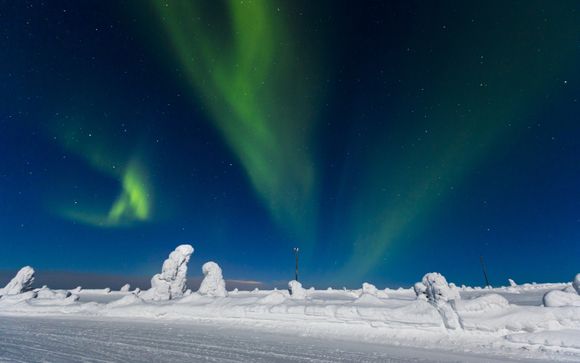 Zoom sur votre programme