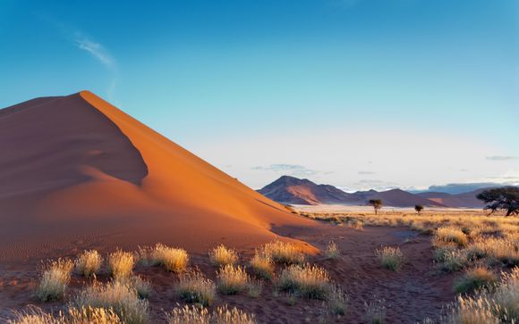 Zoom sur votre programme