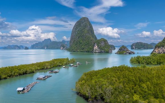 Zoom sur votre programme