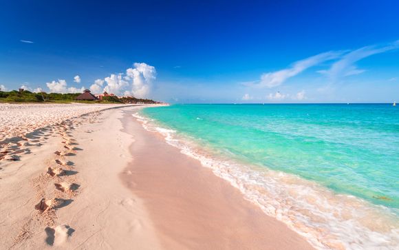 Zoom sur votre programme