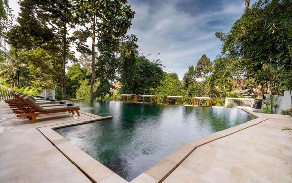 Pour votre confort durant le circuit