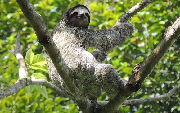 Rendez-vous... au Panama