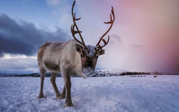 Mettez une option sur l