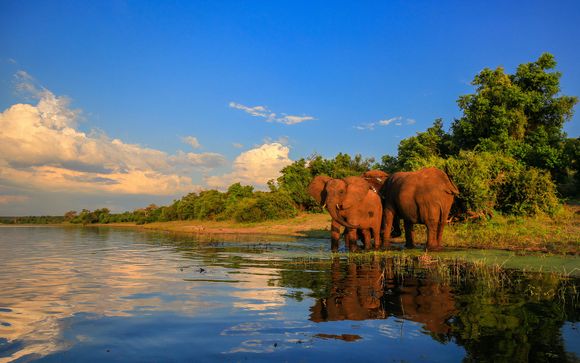 Zoom sur votre programme