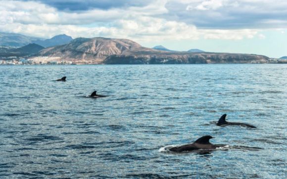 Votre option incluse pour plus d