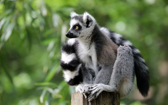 Votre option incluse pour plus de confort