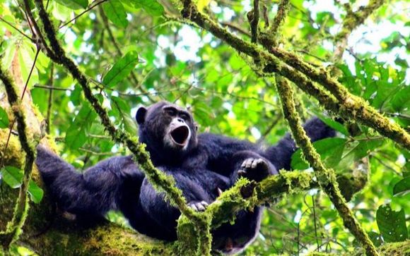 Mettez une option sur l