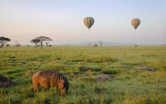 Mettez une option sur l