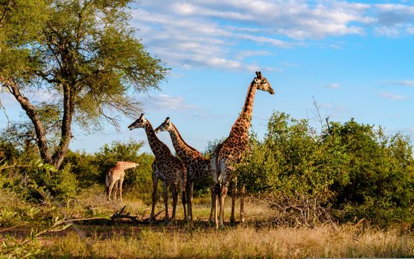 Vos circuits en un clin d'oeil
