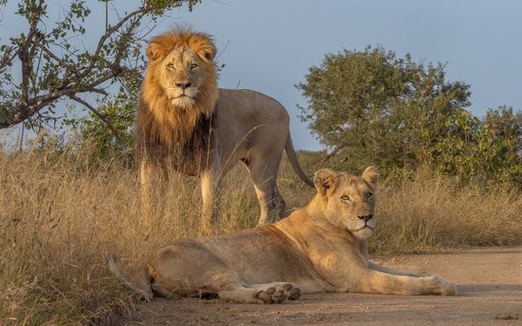 Zoom sur vos programmes