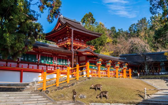 Mettez une option sur l