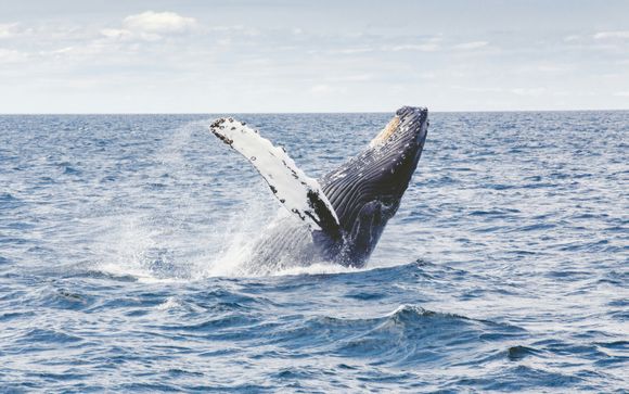 Zoom sur votre programme