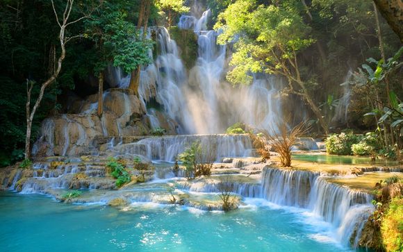 Mettez une option sur l