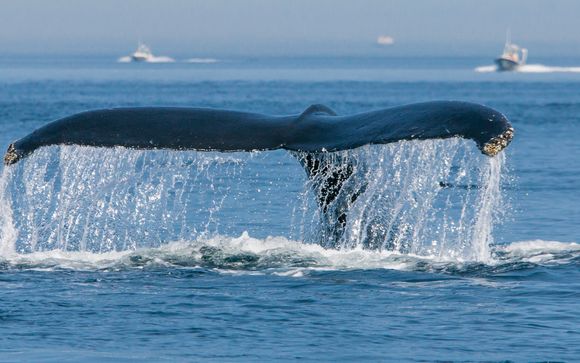 Zoom sur votre programme