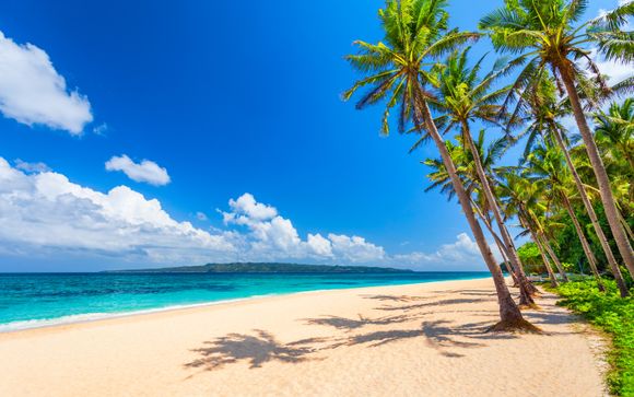 Mettez une option sur l