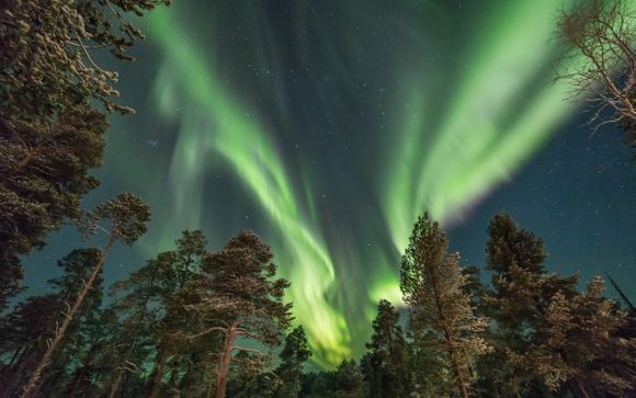 Mettez une option sur l