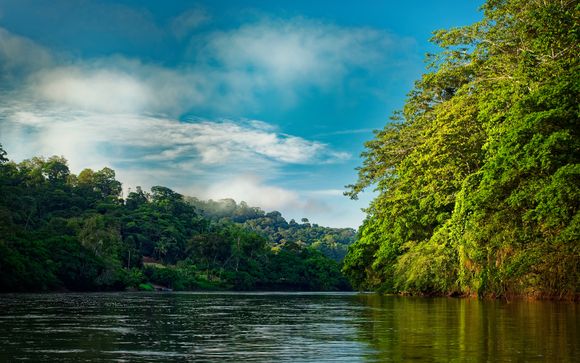 Mettez une option sur l