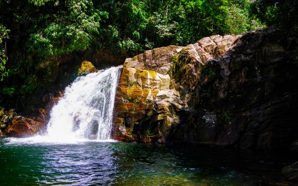 Mettez une option sur l