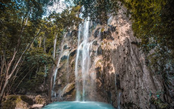 Zoom sur votre programme