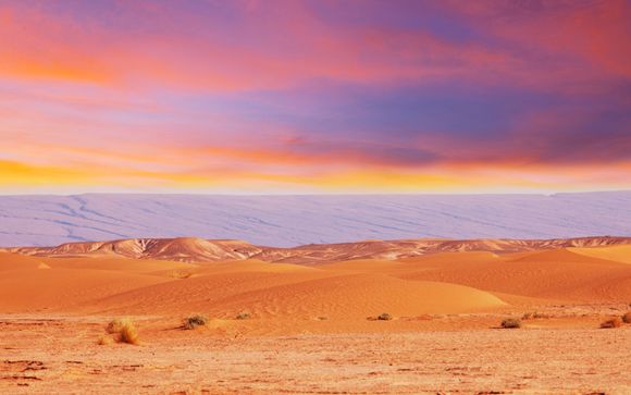 Zoom sur votre programme