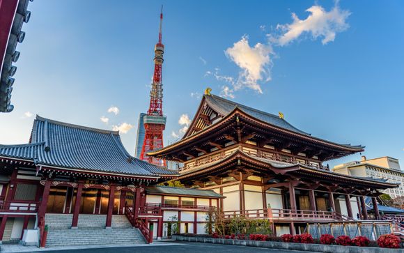 Zoom sur votre programme