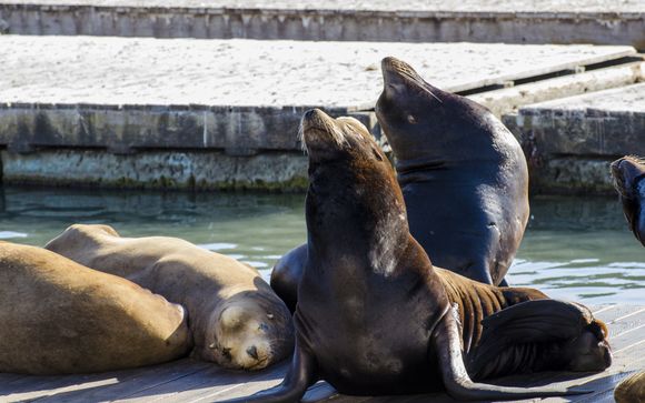 Votre séjour en un clin d'oeil 