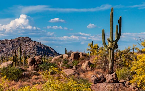 Votre séjour en un clin d'oeil 
