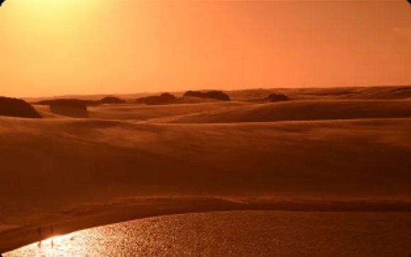 Mettez une option sur l