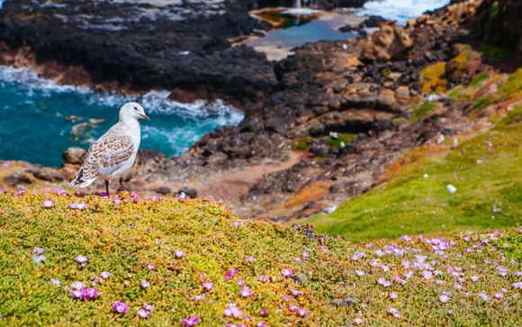 Mettez une option sur l