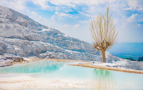 Zoom sur votre programme