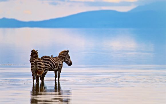 Zoom sur votre programme