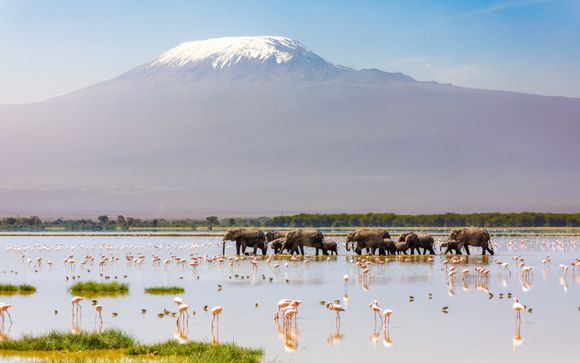 Votre safari en un clin d’œil