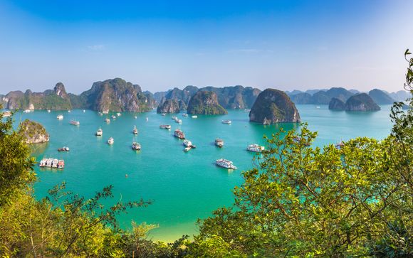 Zoom sur votre programme