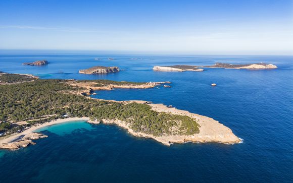 Vos excursions pour plus d