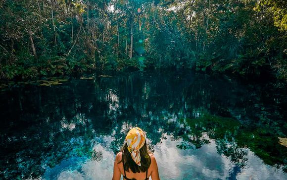 Vos options pour plus d