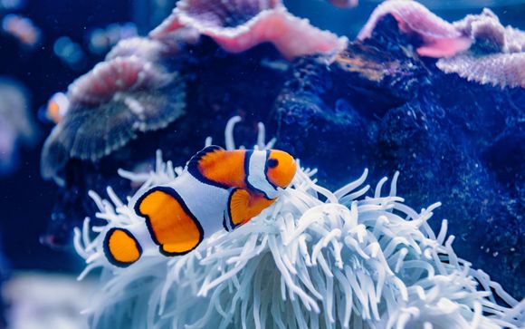 Entrée à l'aquarium de Palma 