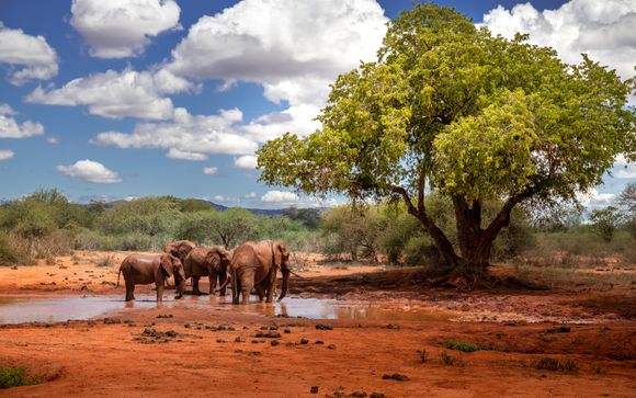Rendez-vous... au Kenya