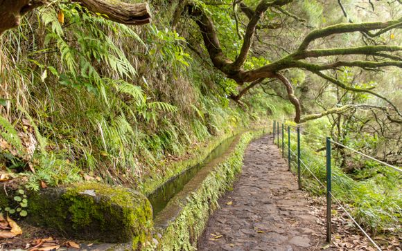 Randonnée de Rabaçal aux 25 Fontaines, au cœur de la forêt de Laurisilva, pour les séjours à partir de 7 nuits