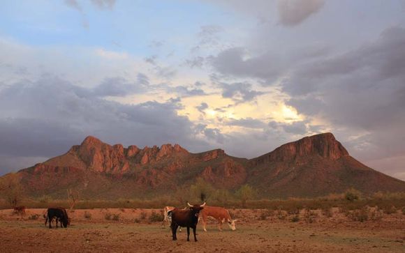 Poussez les portes du White Stallion Ranch 4*
