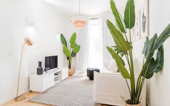 Vos appartements