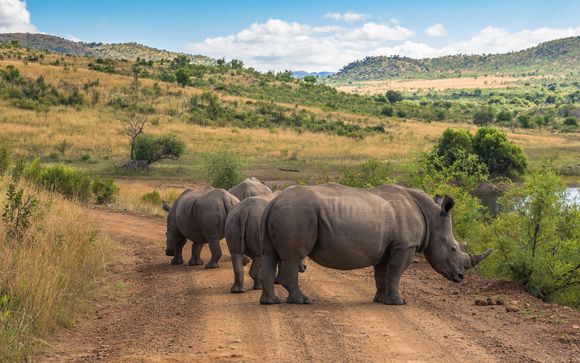 Zoom sur votre safari