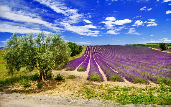 Rendez-vous... à Saint Rémy de Provence