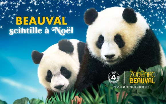 Le ZooParc de Beauval se pare de mille feux pour fêter Noël et le Nouvel An !  