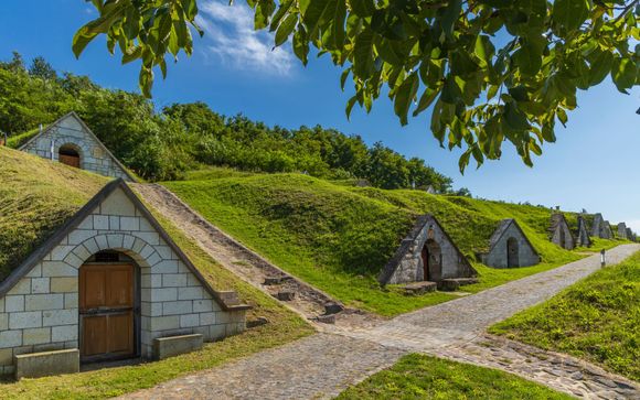 Zoom sur votre programme