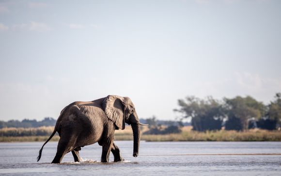 Safari sur le fleuve (inclus pour les séjours à partir de 5 nuits)