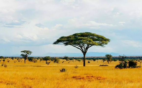 Rendez-vous... au Kenya
