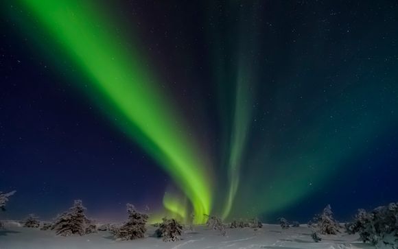 Chasse aux aurores boréales en voiture (3 heures) et dîner (hors boissons) en pleine nature sous les aurores boréales inclus (2 - 3 heures) pour les séjours de 5, 6 et 7 nuits