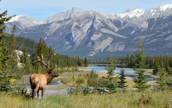 Zoom sur votre programme