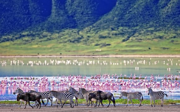 Votre safari en Tanzanie en un clin d'oeil