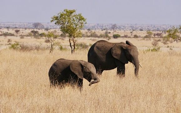 Rendez-vous... en Afrique du Sud et à l'île Maurice